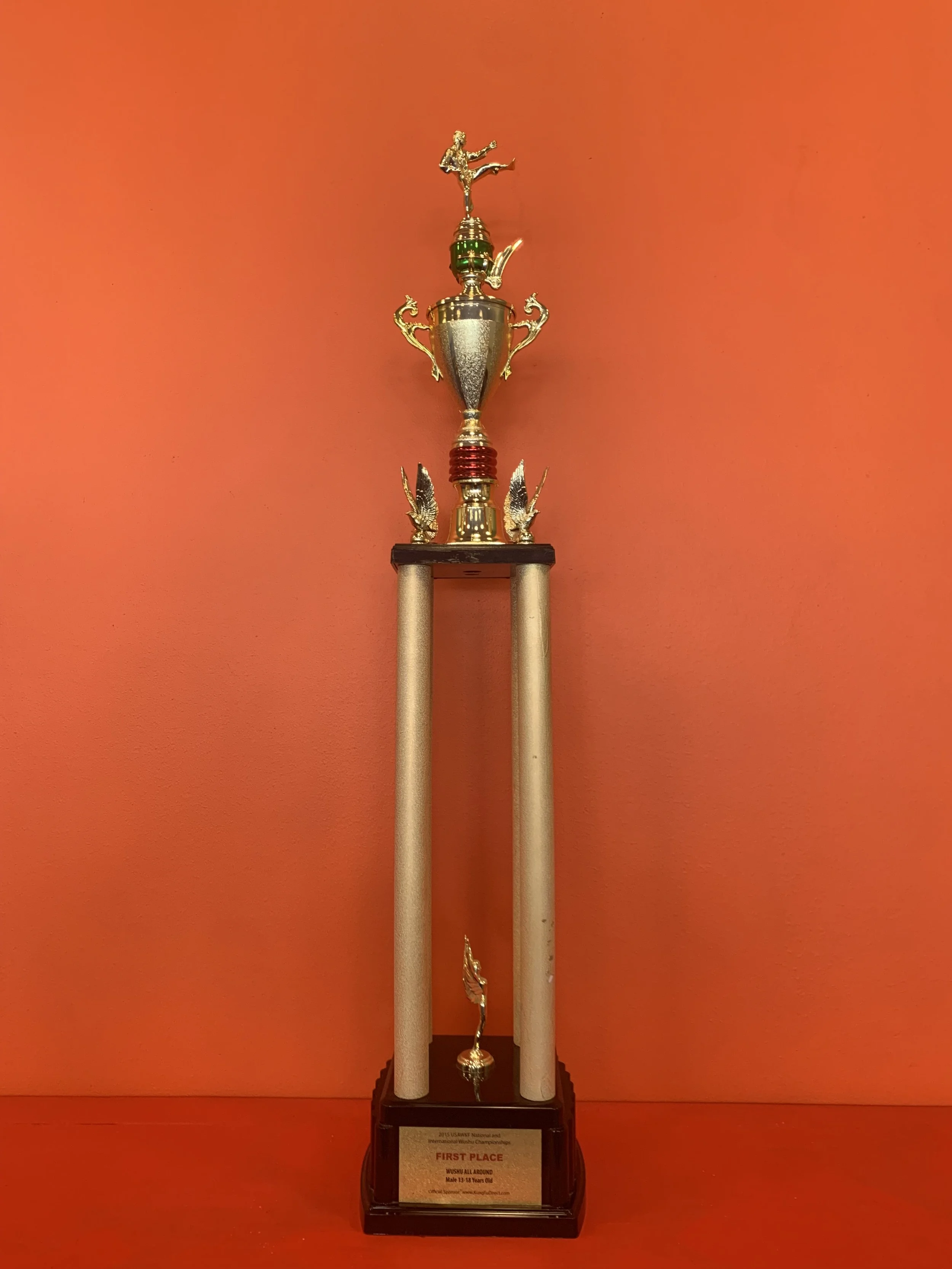 2015 USAWKF National and International Wushu Championships, First Place, Wushu All-around 19-25(M)