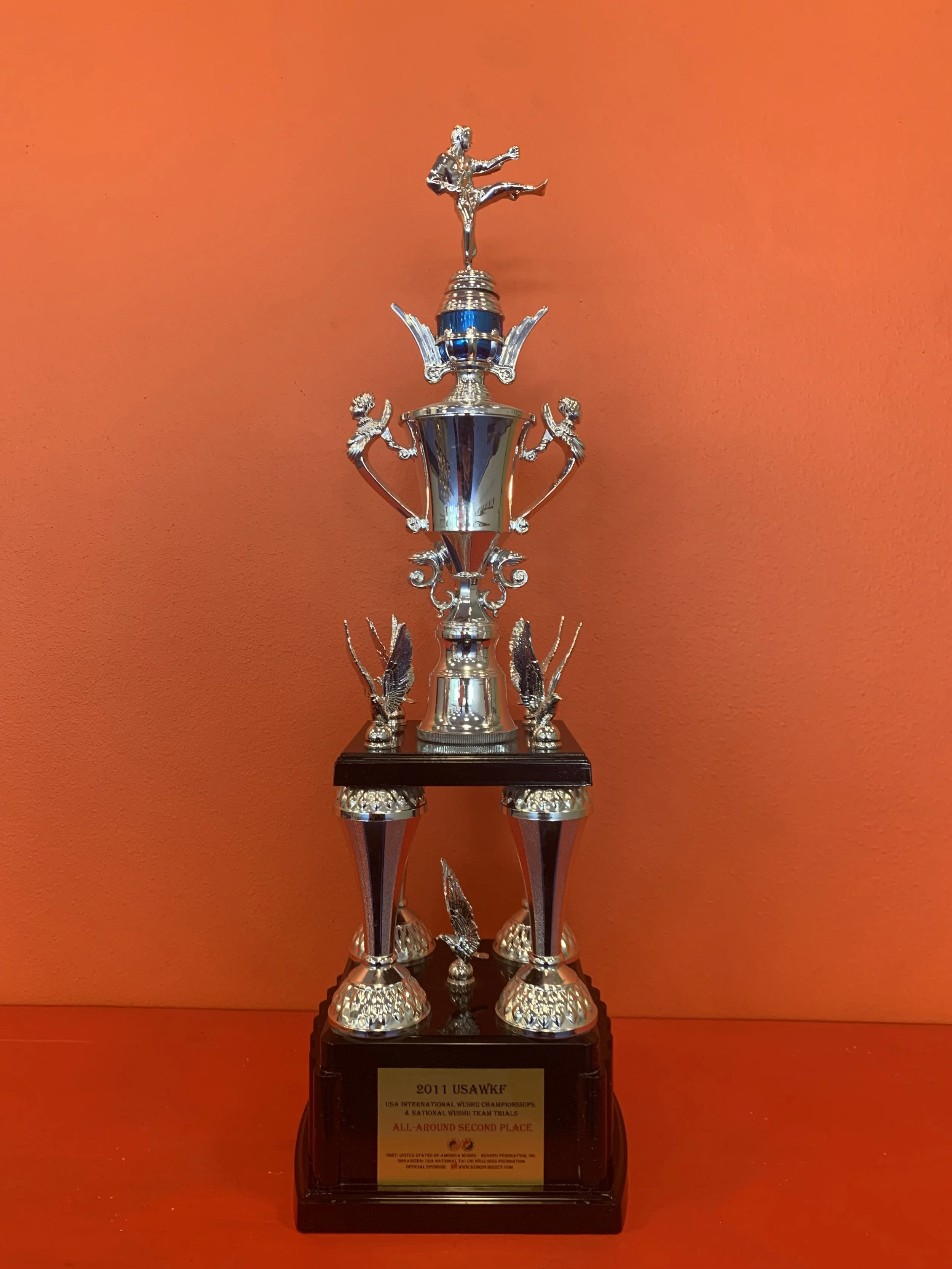 2011 USAWKF US International Wushu Championships & National Wushu Team Trials, ALL0AROUND SECOND PLACE