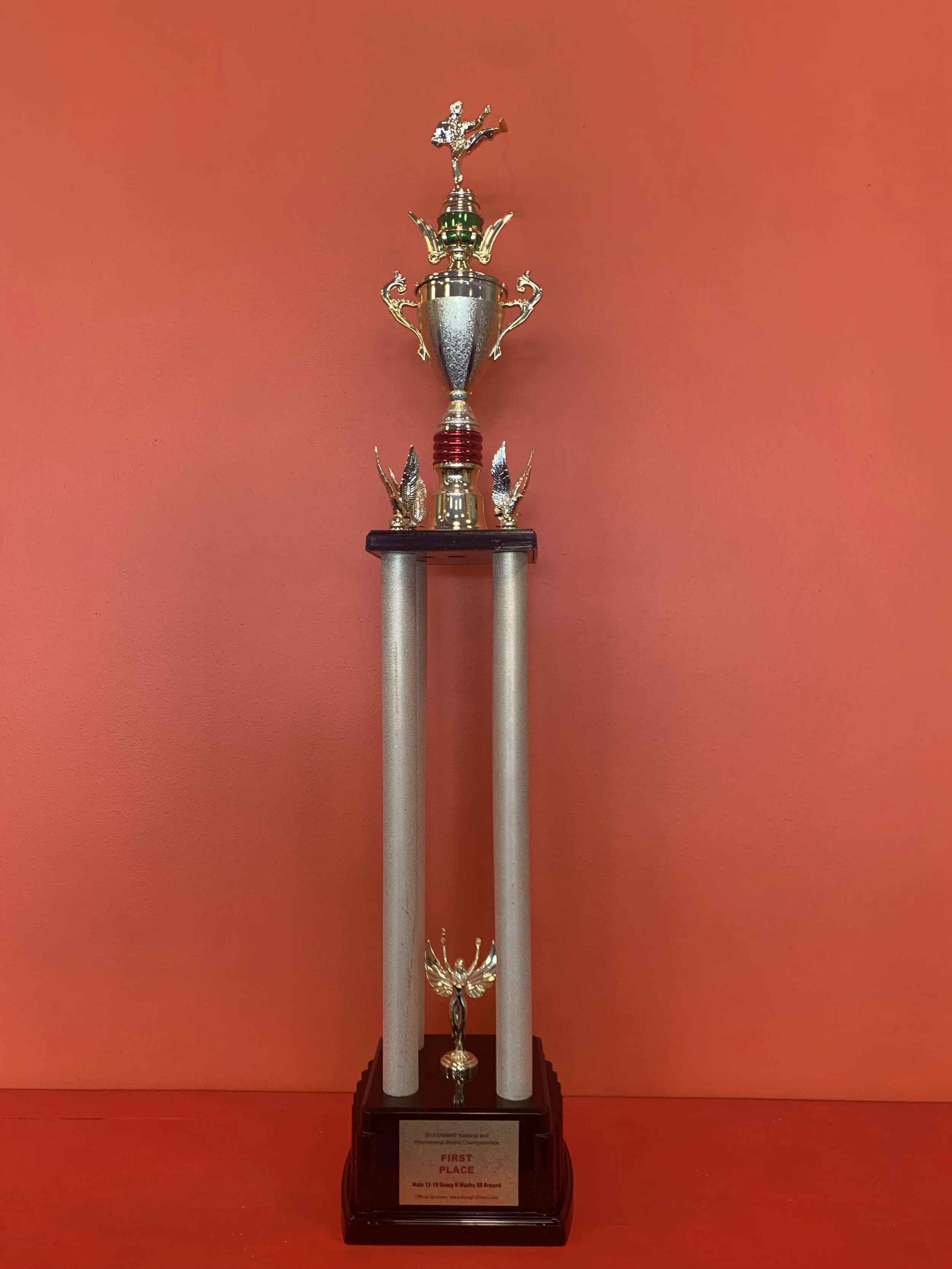 2015 USAWKF National and International Wushu Championships, First Place, Wushu All-around 13-18(M)