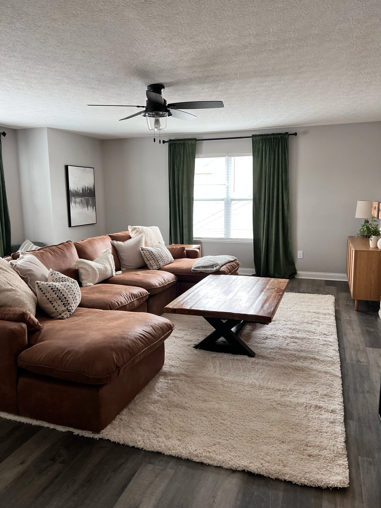 josh living room.jpg
