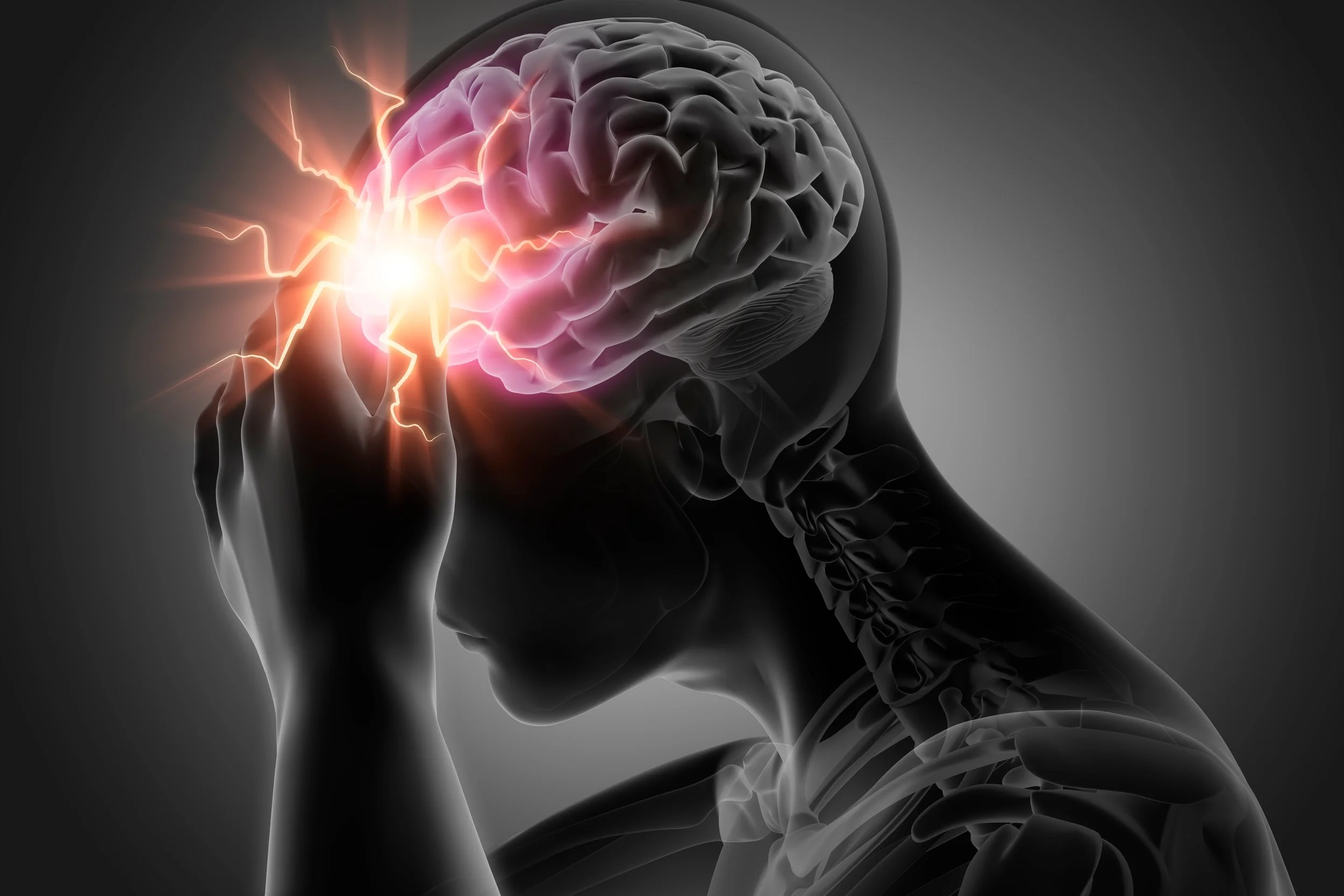 shutterstock_2057201957.jpg