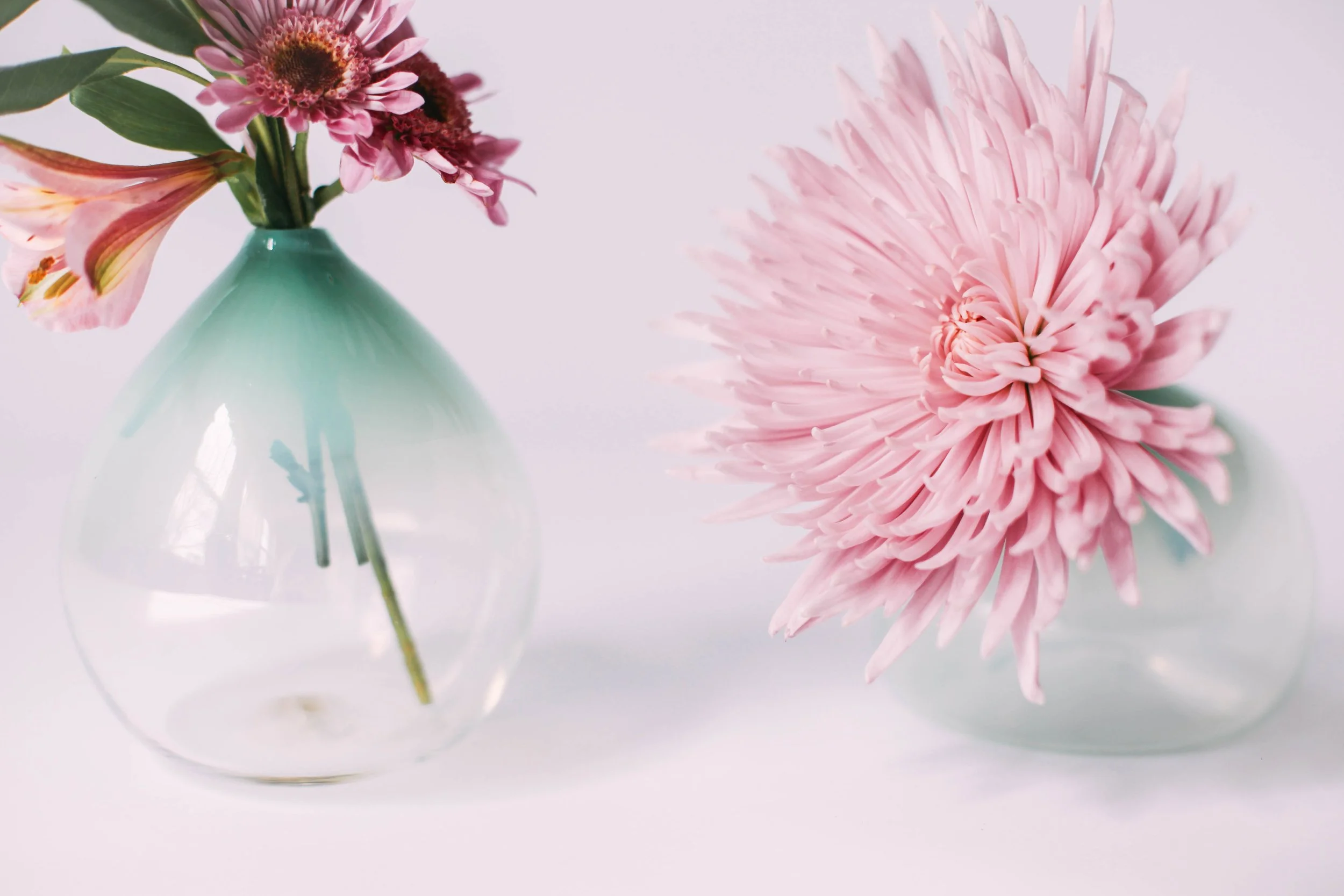 BudVases-67.jpg