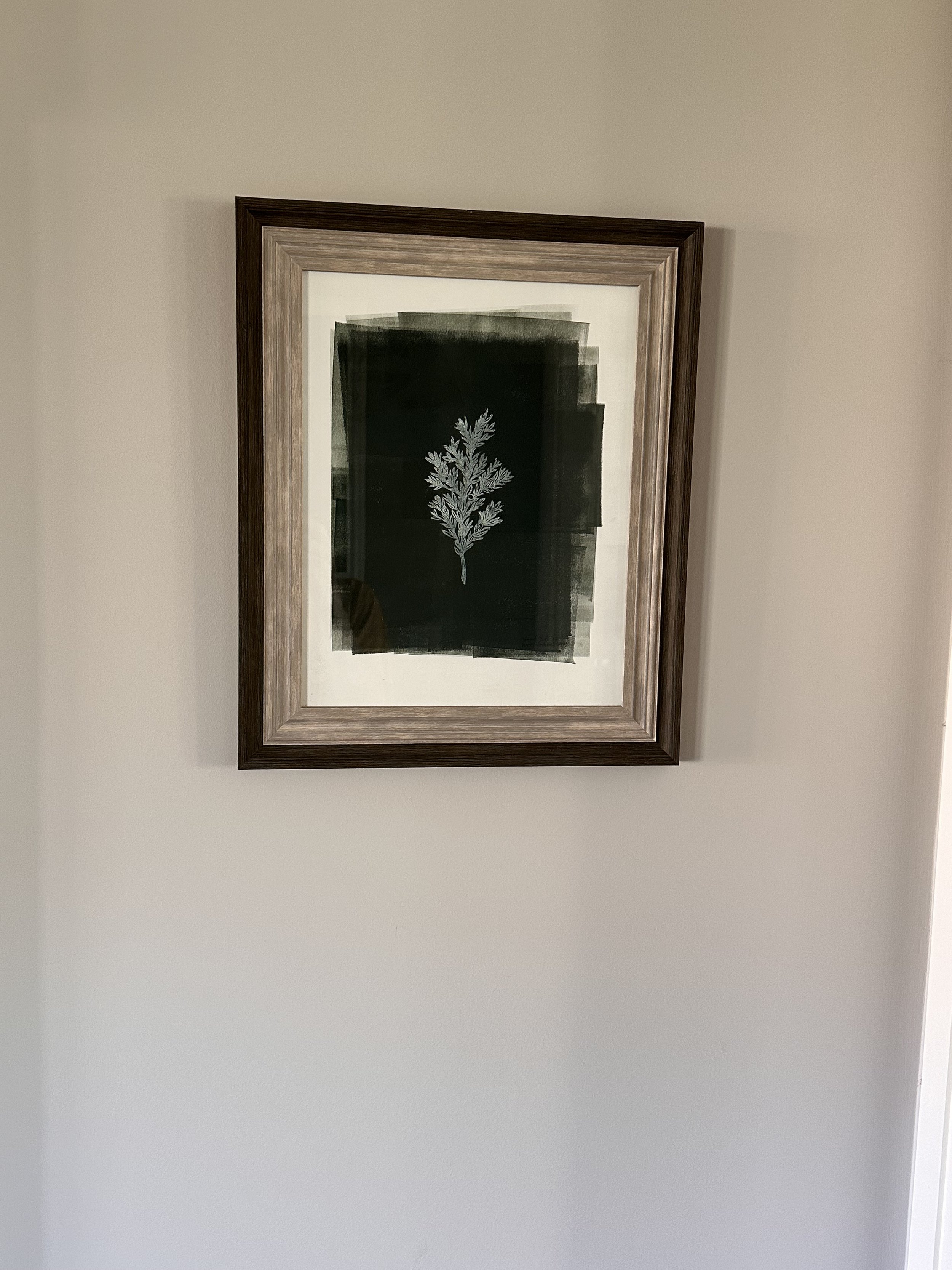 IMG_6525.jpeg
