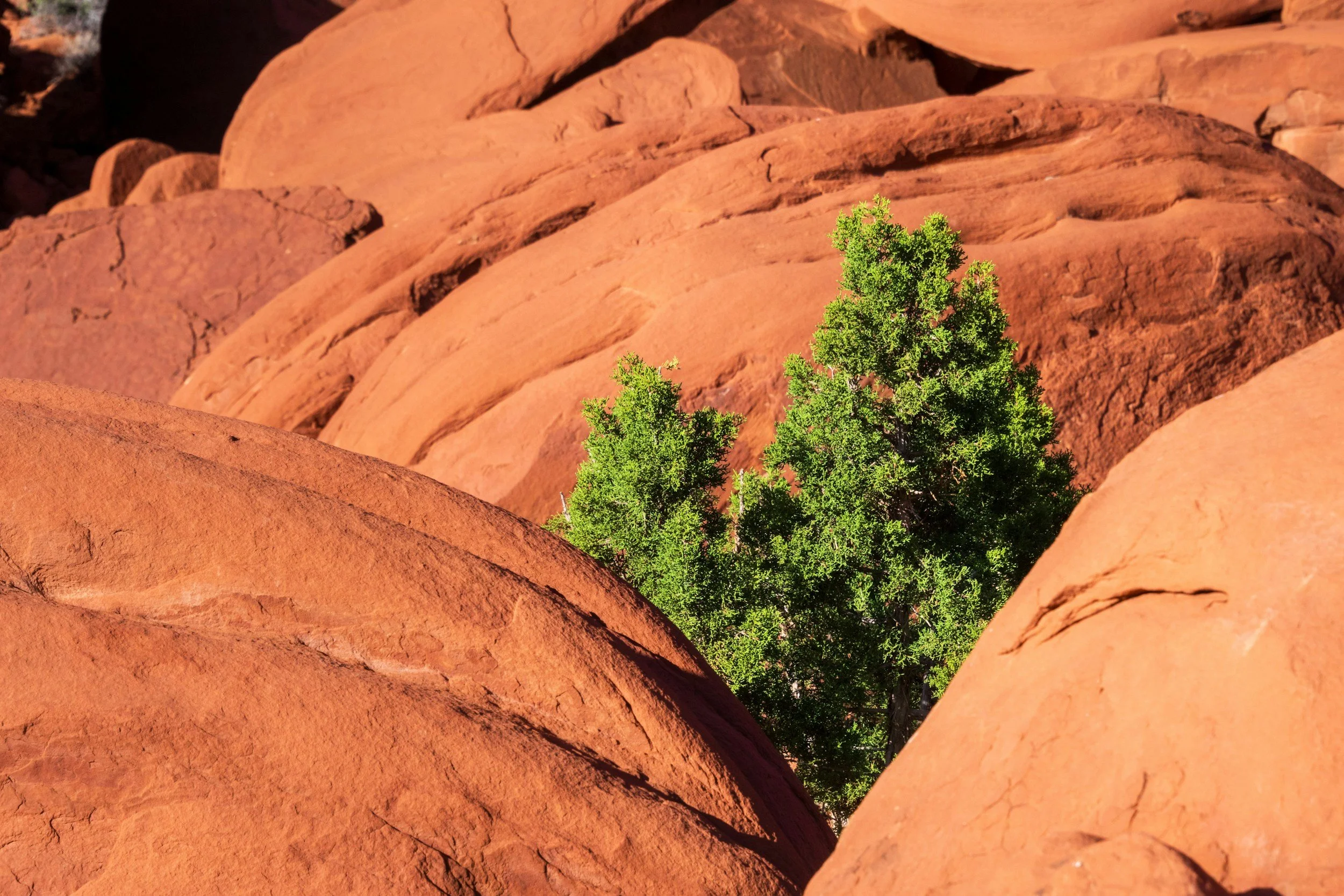 From Burnout to Resilient