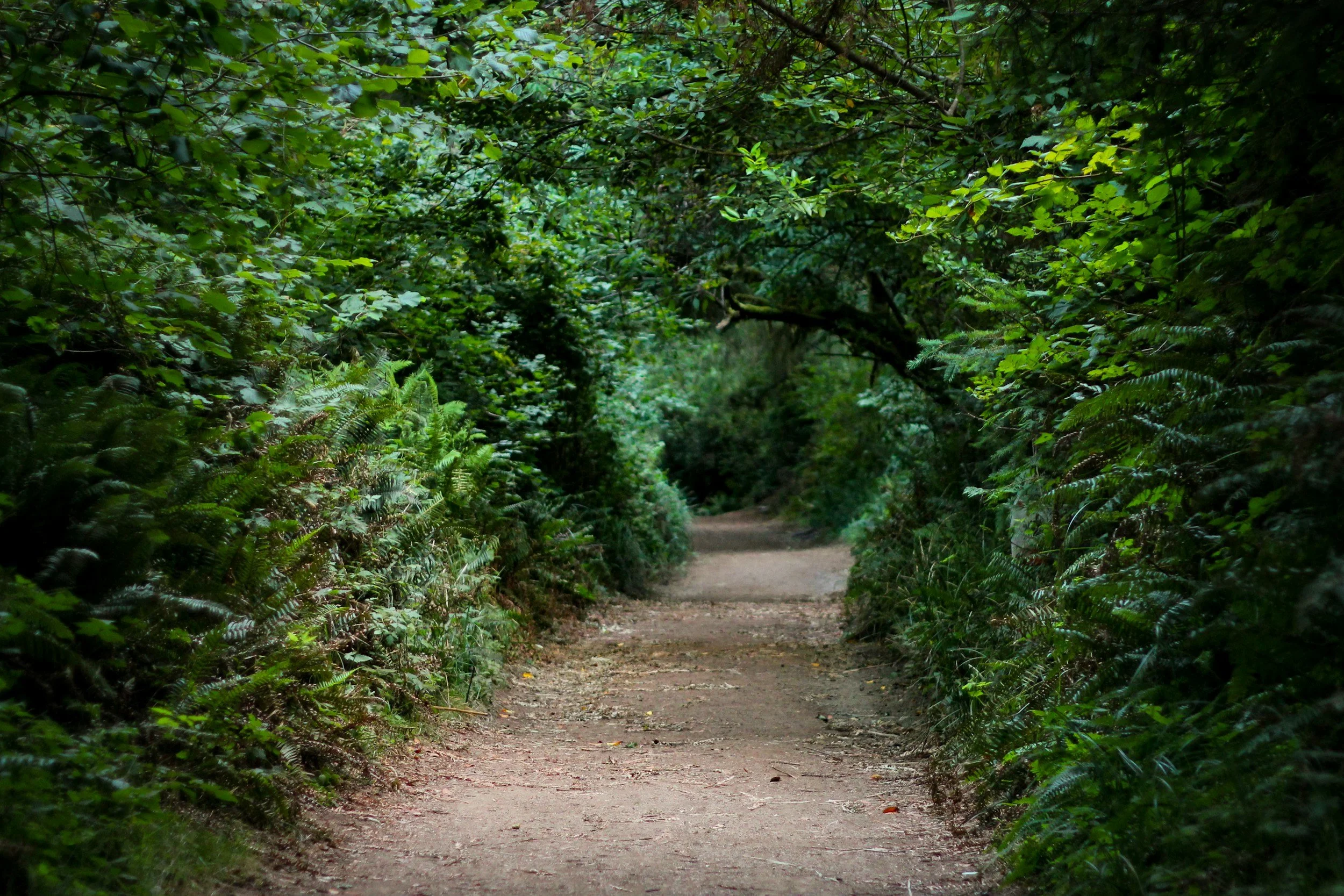 Choosing Your Path Forward: A Realistic Look at Embracing Change