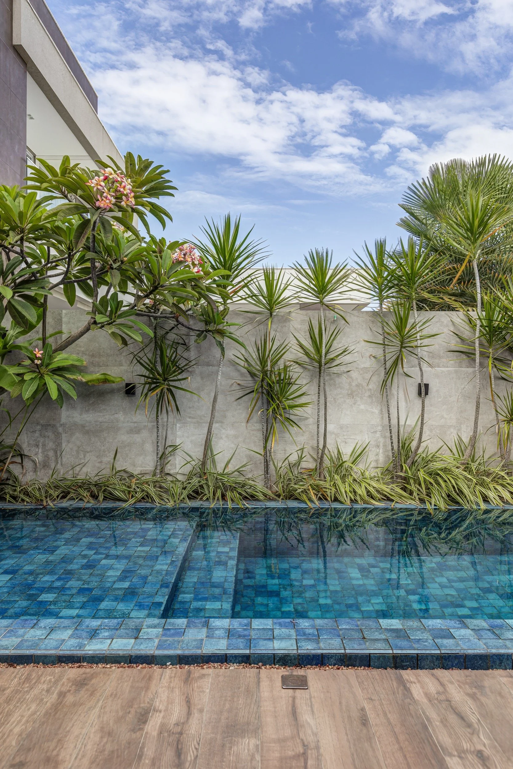 Rodrigo Melo - PORTO REAL - 19.01.2024_RMF_335_WEB.jpeg