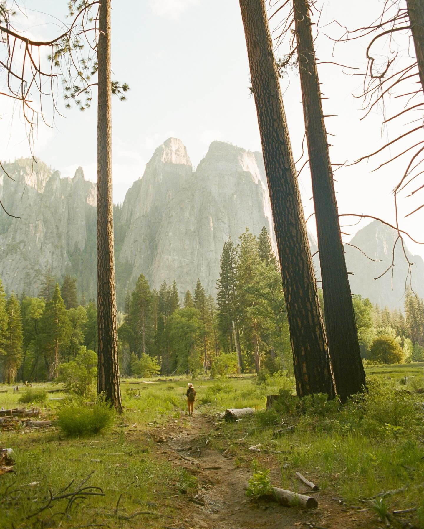 last spring in yosemite valley 🌿 #35mm 

first and last photos by @nathanielfilm
