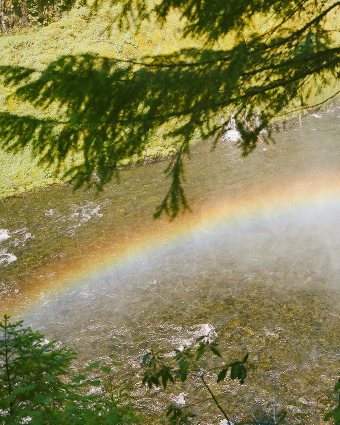 nature magic 🌈✨ #35mm