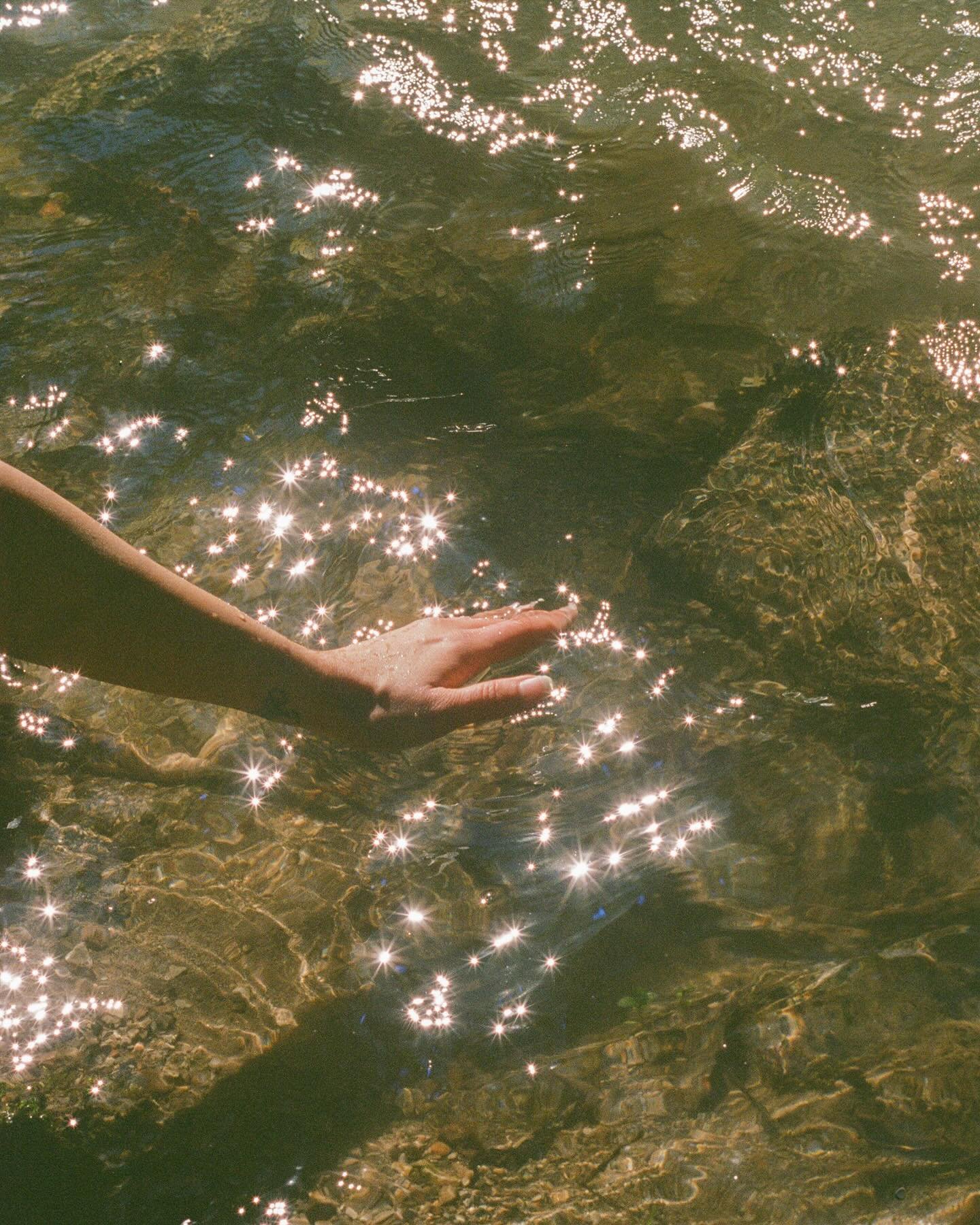 the dog days of summer ✨ #35mm