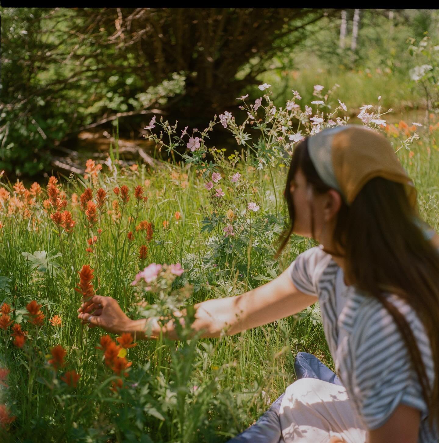 a day with faye 🌼🌾 #120film