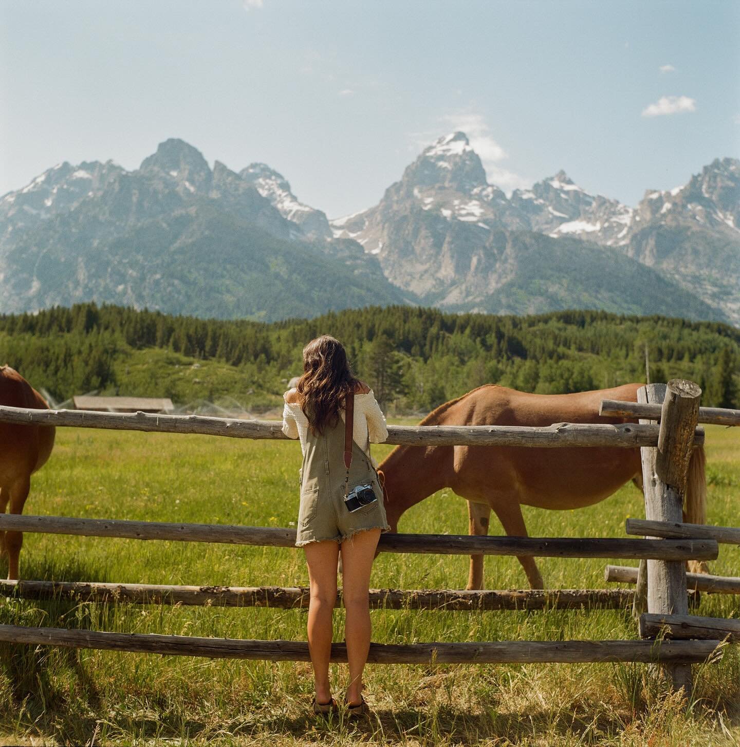 the wild west part II 🌾 #madewithkodak 

1 and 4 by @ethanabitz