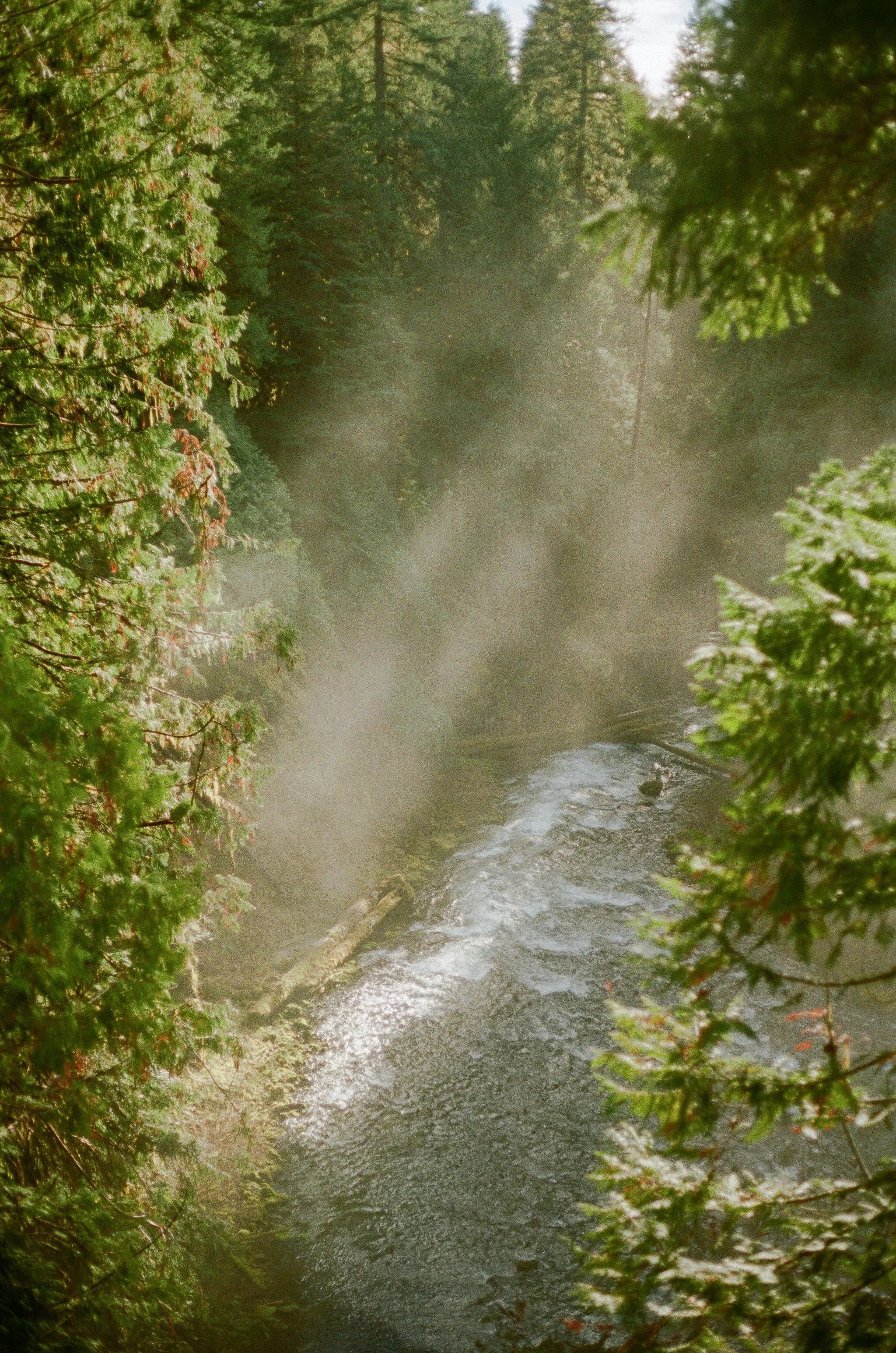 77713712-15505.jpg