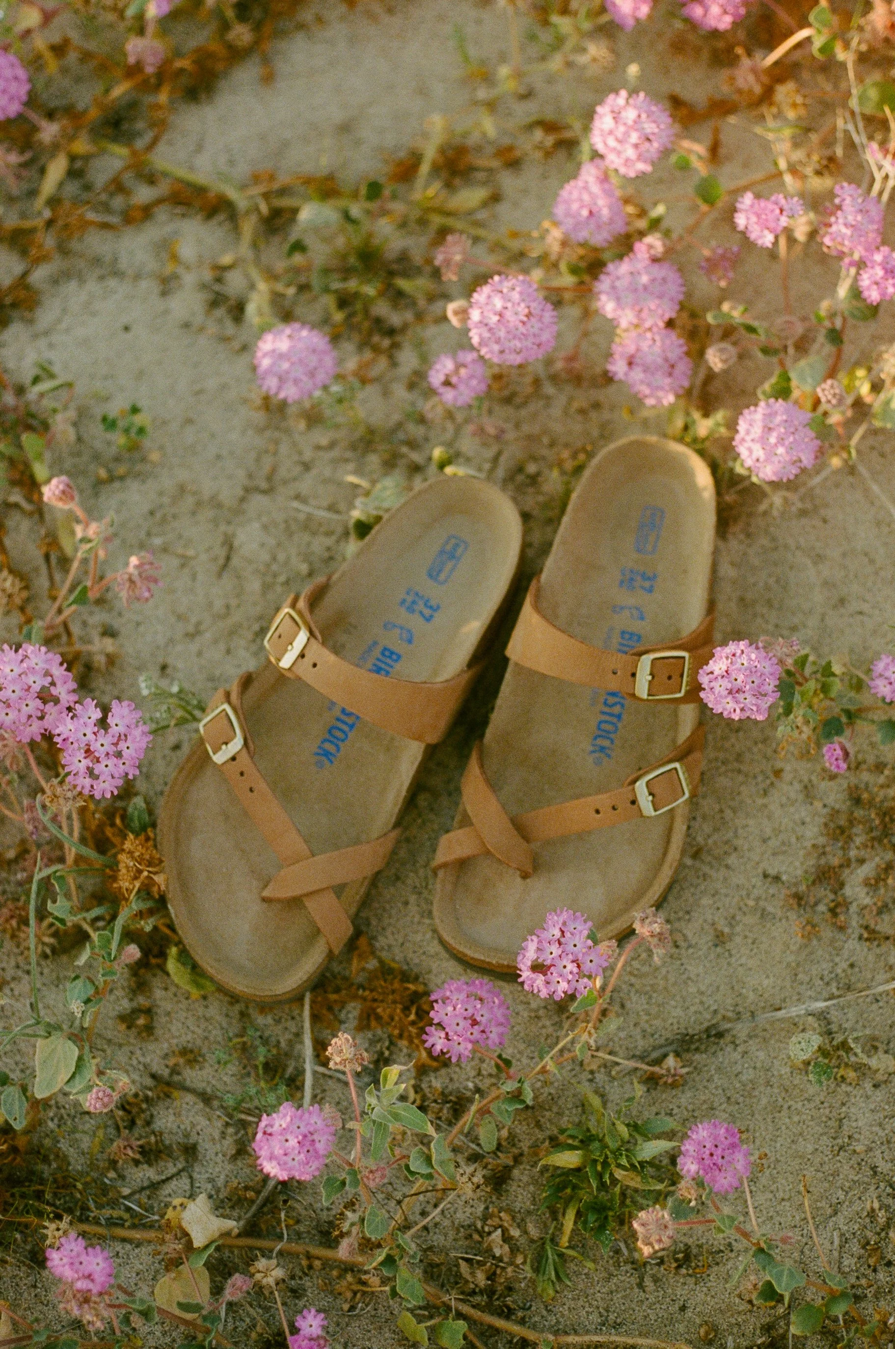 For Birkenstock