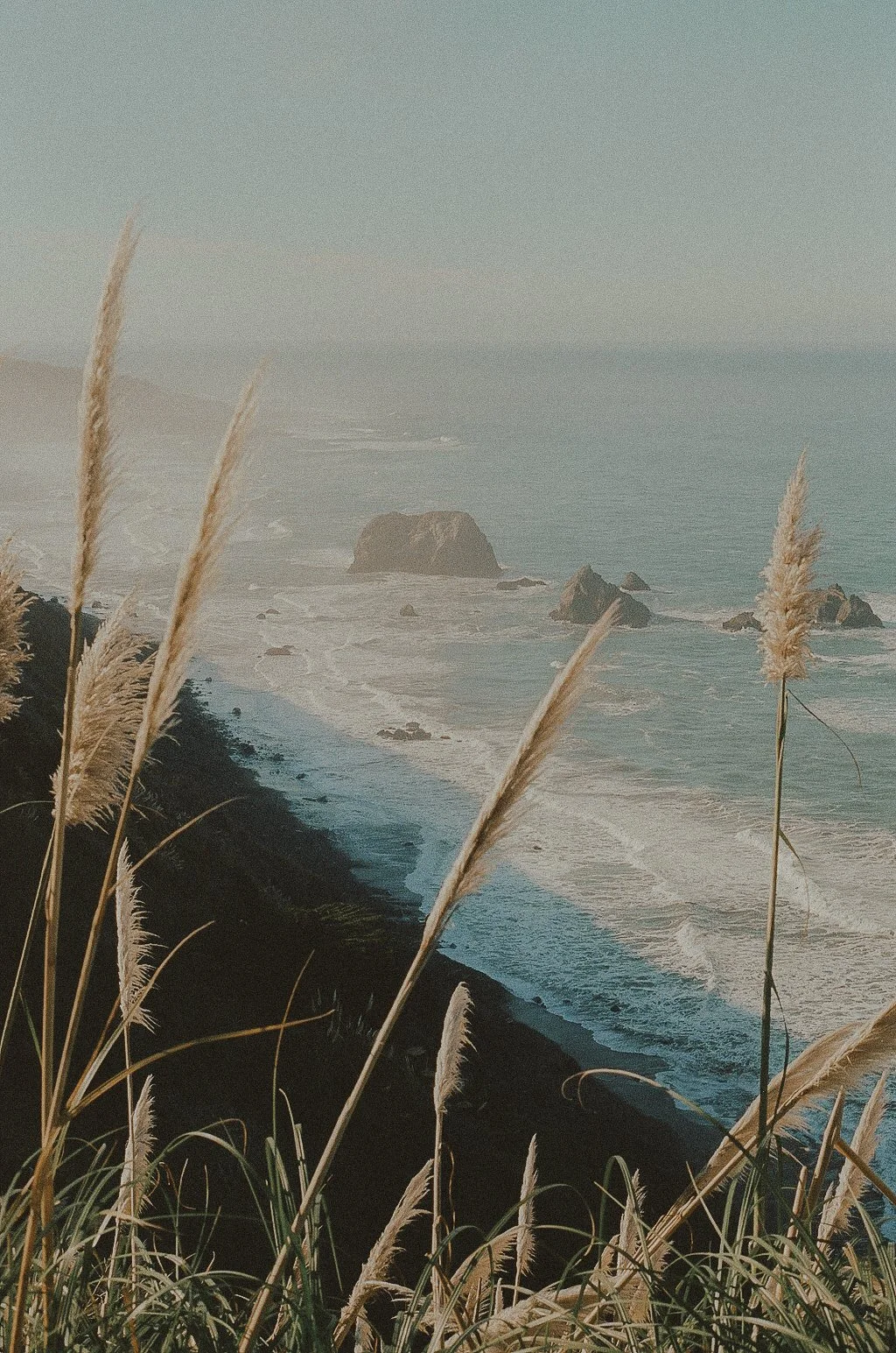 Pampas Peace | Big Sur