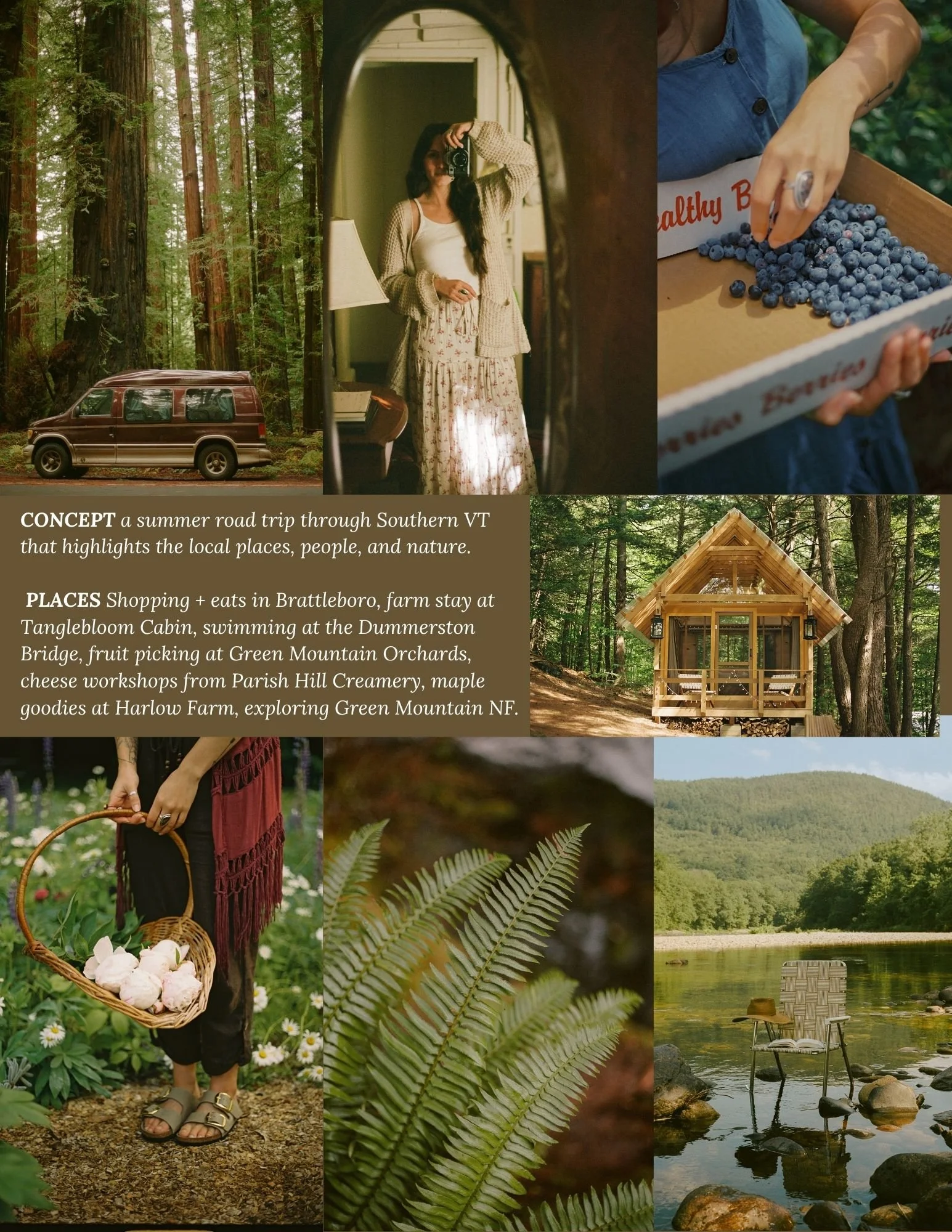 VT Toursim Pitch Deck.jpg