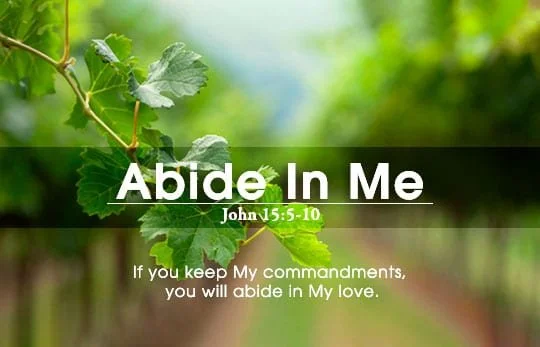 Abiding in Him