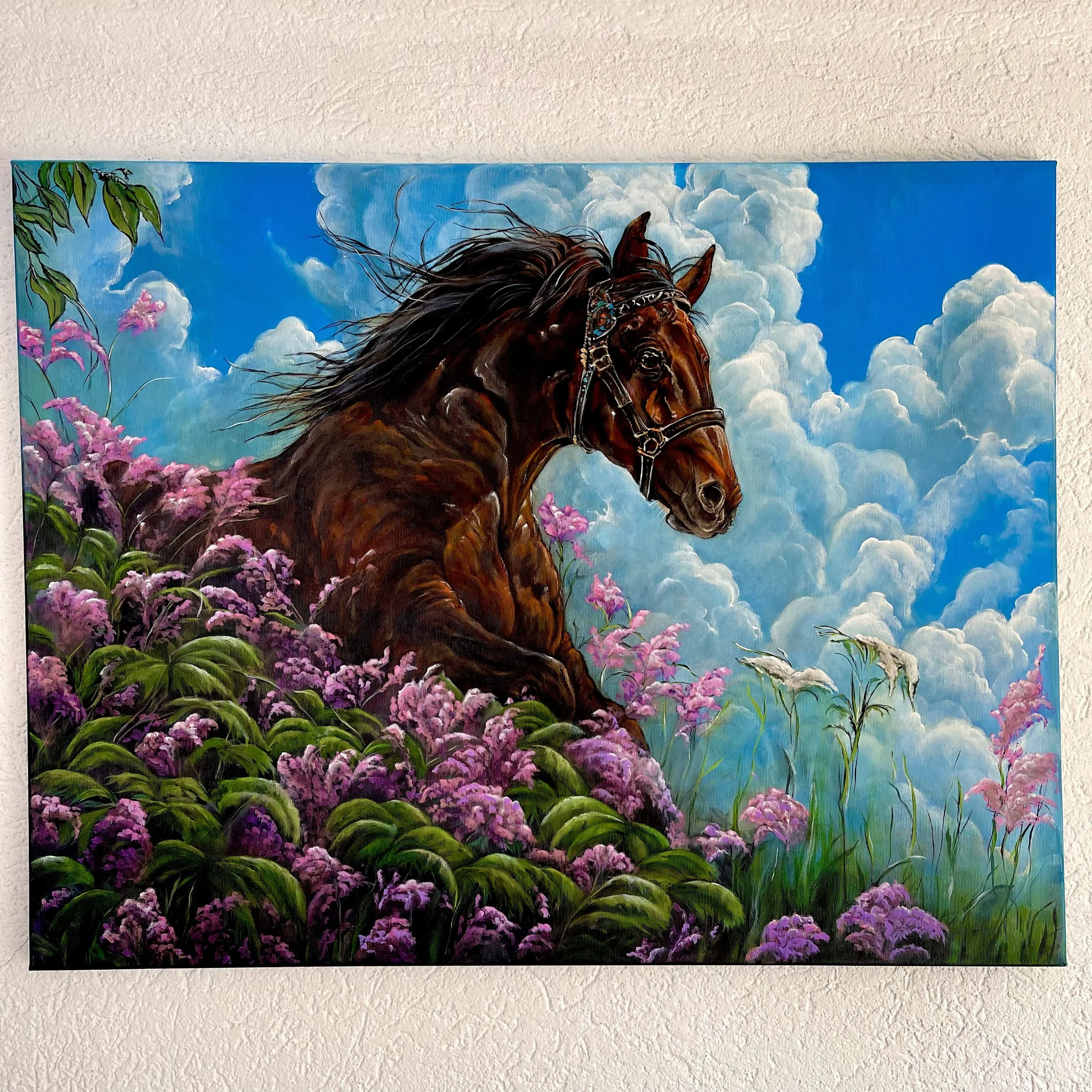 Cloud Rider