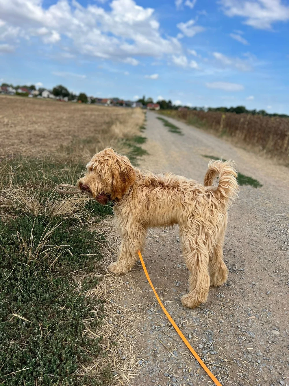 WhatsApp Image 2022-09-07 at 19.39.30.jpeg