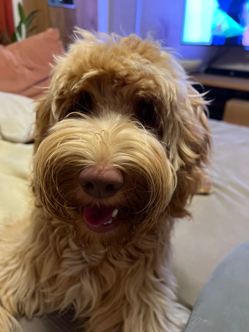 WhatsApp Image 2022-10-13 at 06.11.47.jpeg