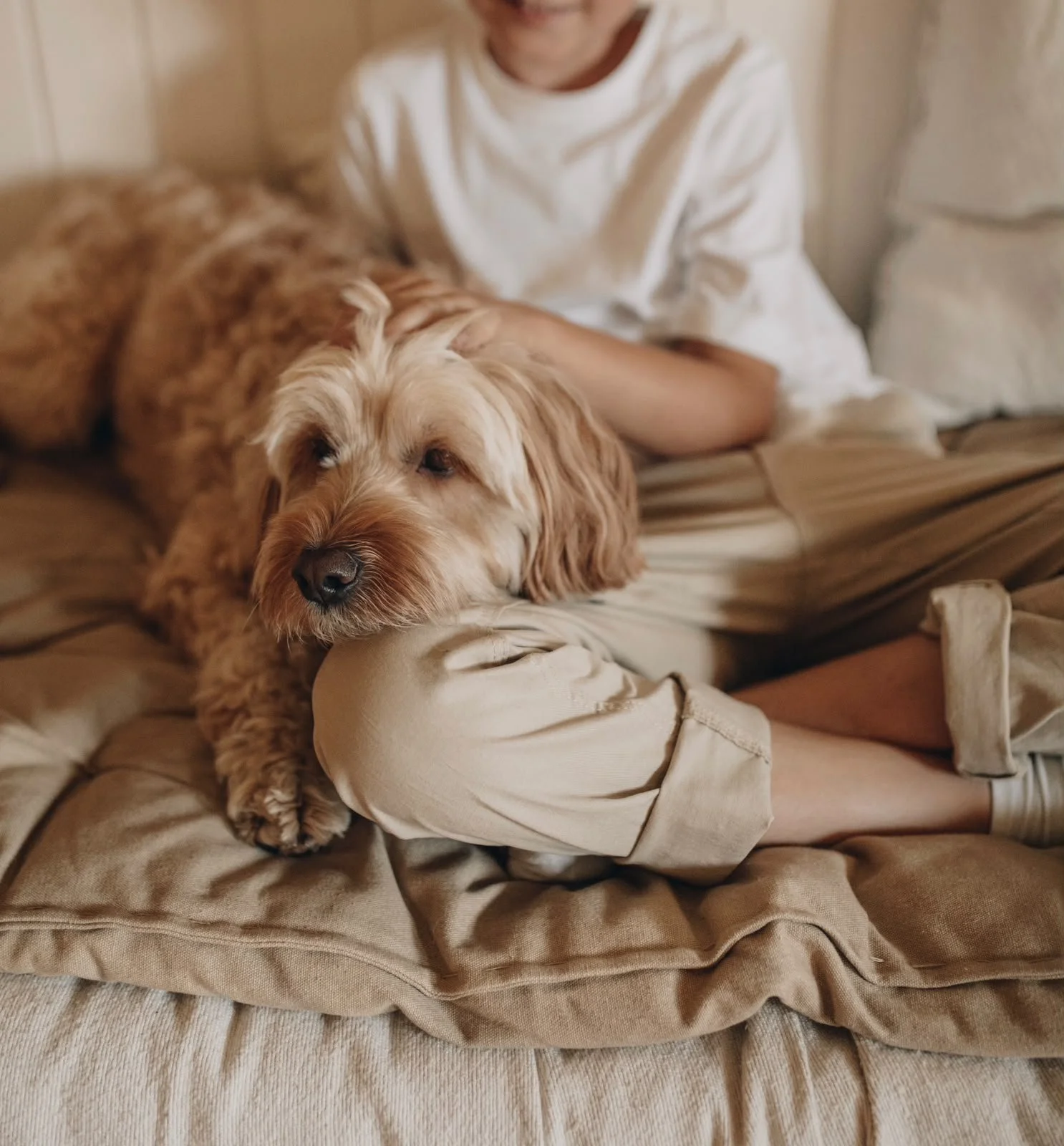 Therapiehund Peanut – fünf Jahre später