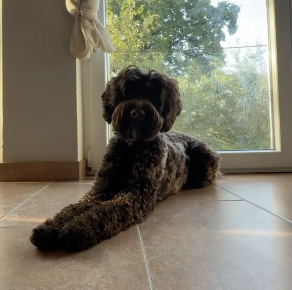 Bildschirmfoto 2026-02-24 um 8.56.23 AM.png