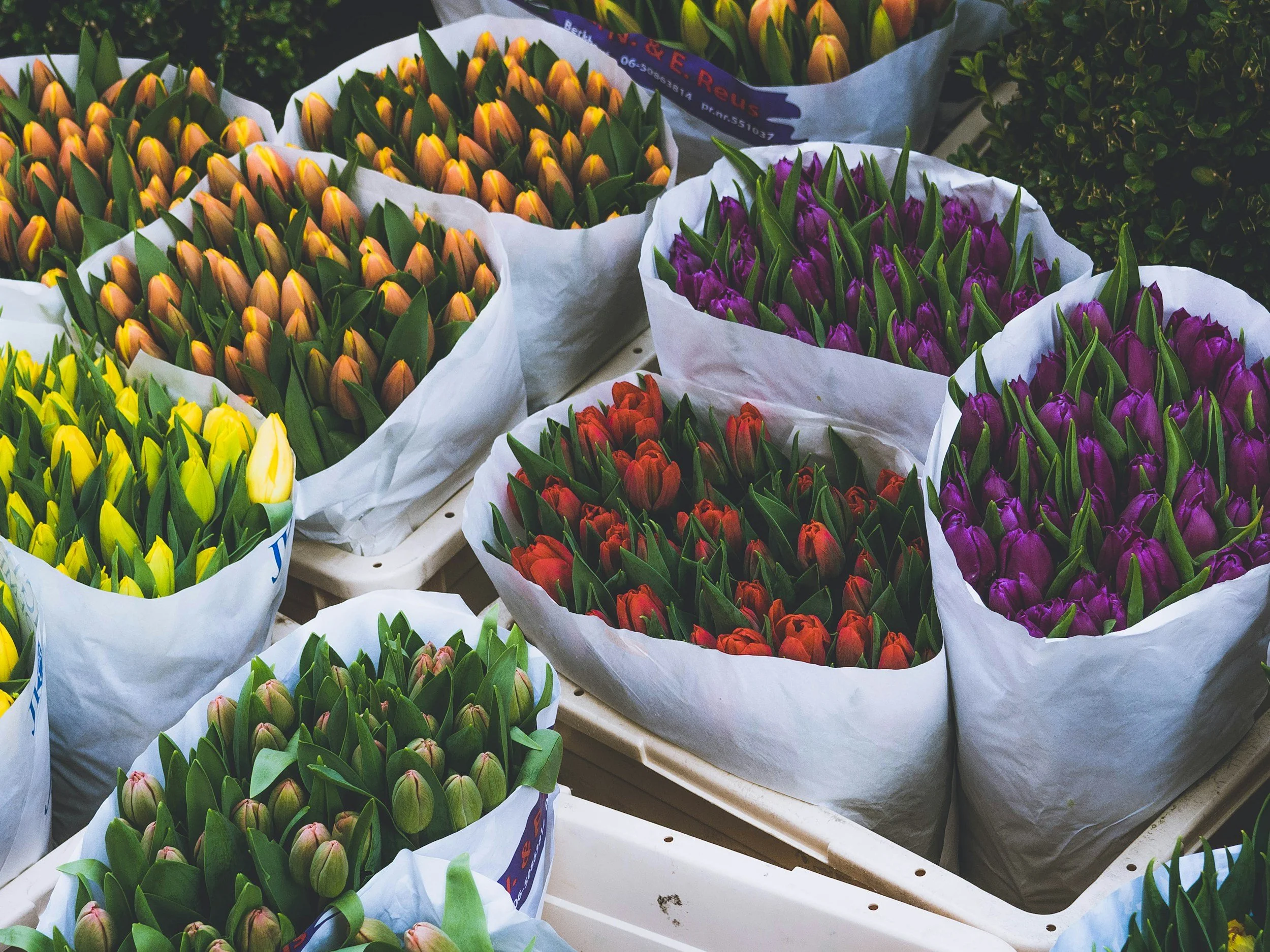 Embracing Spring with our Senses
