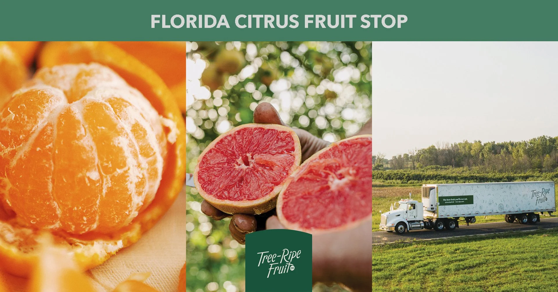Fresh Florida Citrus Stop- Adams Friendship