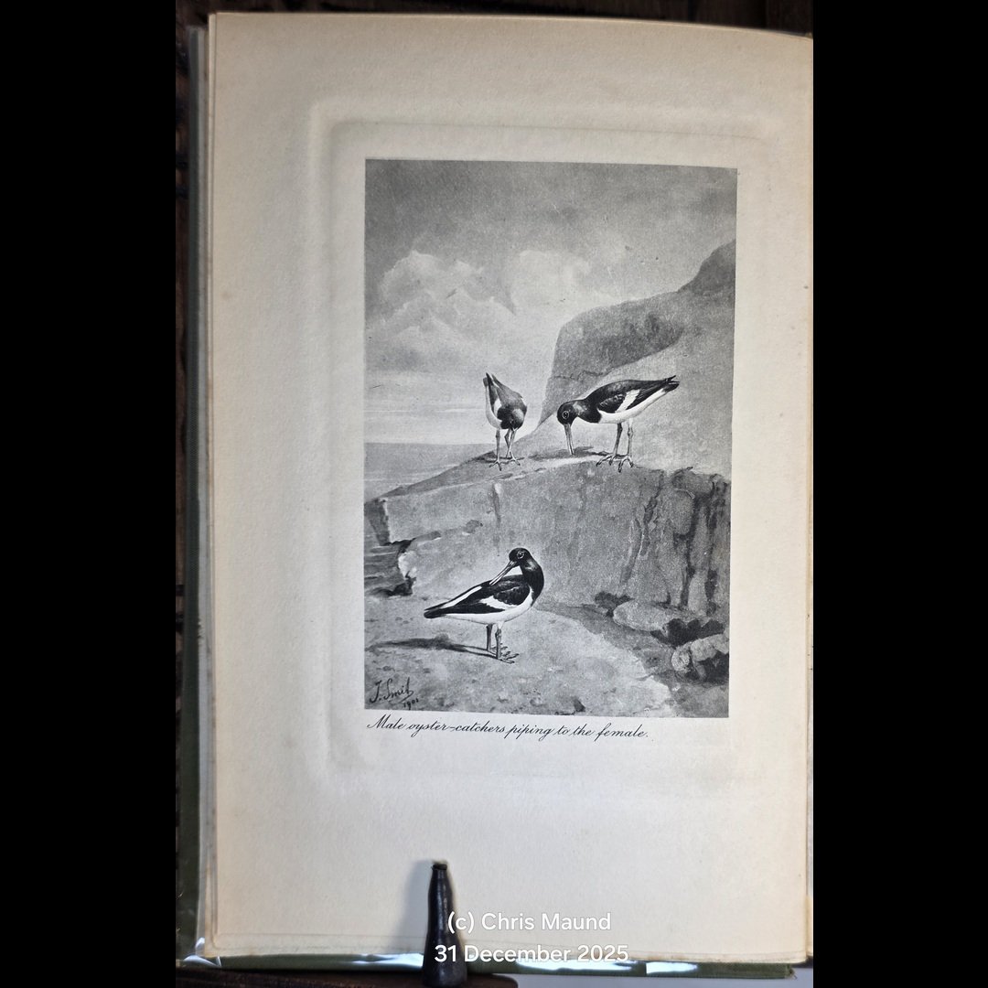 Haddon Hall (2)-36.jpg