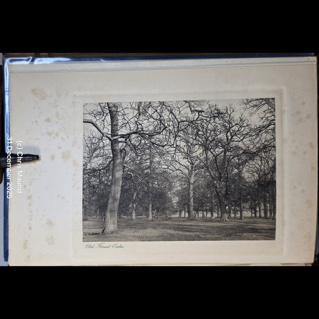 Haddon Hall (2)-43.jpg