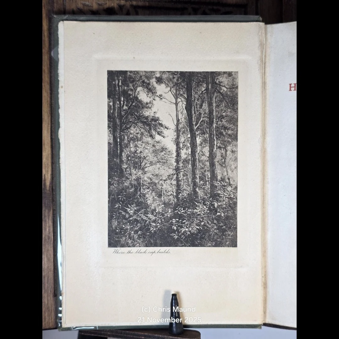 Haddon Hall (2)-14.jpg