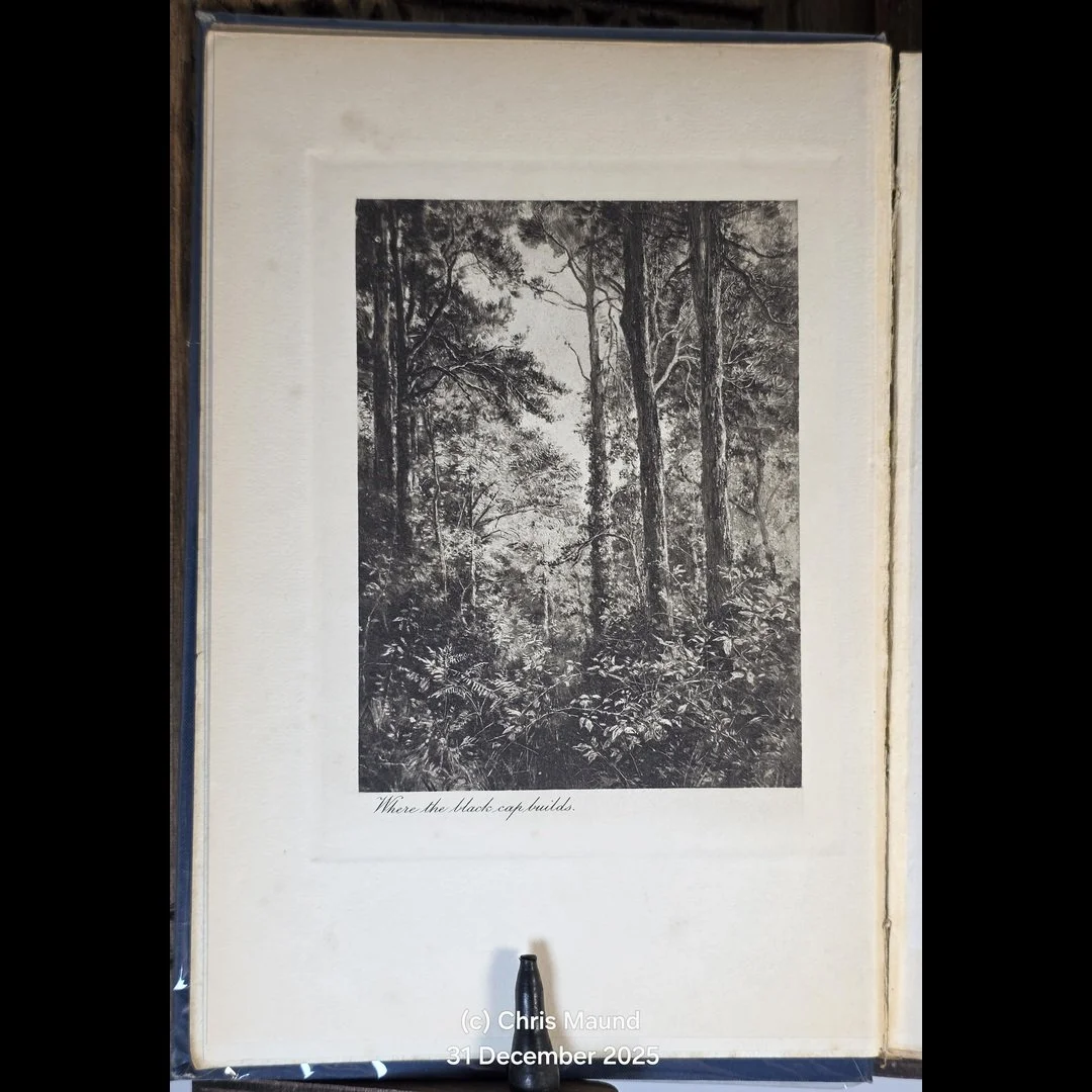 Haddon Hall (2)-61.jpg