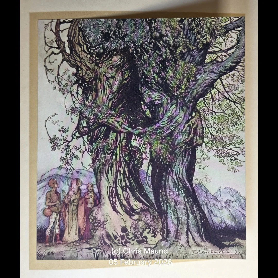 1922 1st Rackham Illustrated Edtn Ltd 537/600 Signed A WONDER BOOK By Nathaniel Hawthorne Illus. Arthur Rackham Very Good