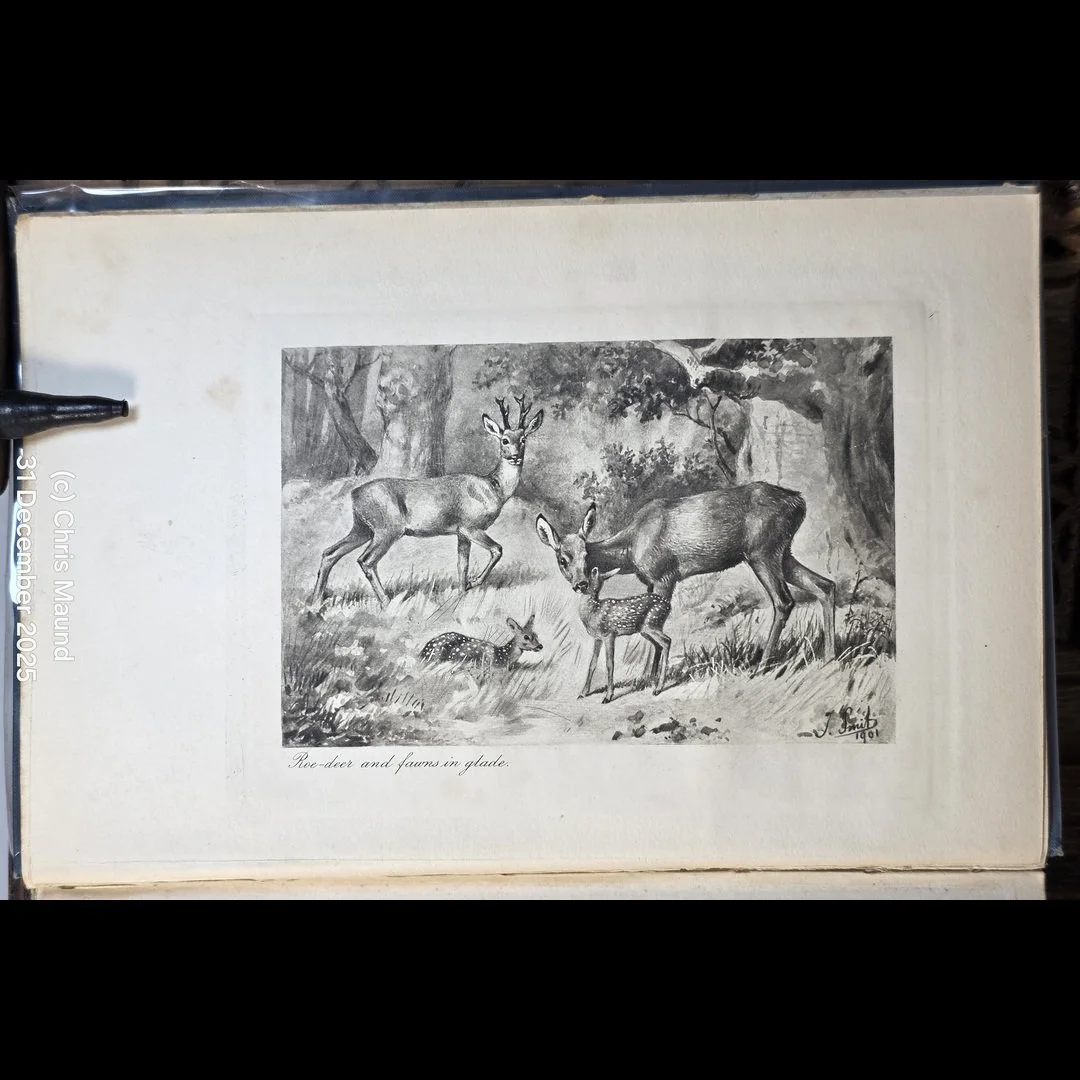 Haddon Hall (2)-56.jpg