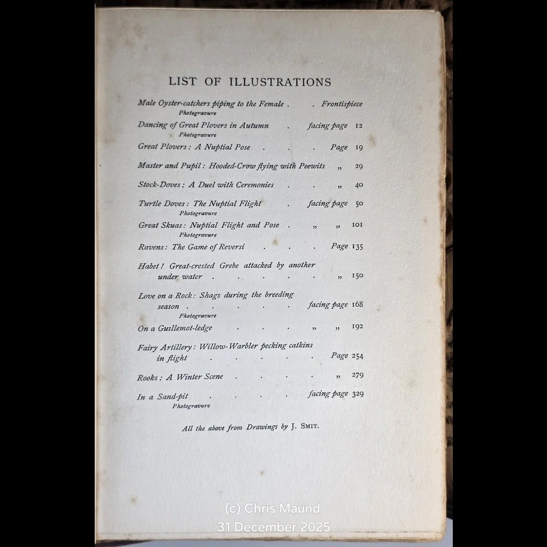 Haddon Hall (2)-40.jpg