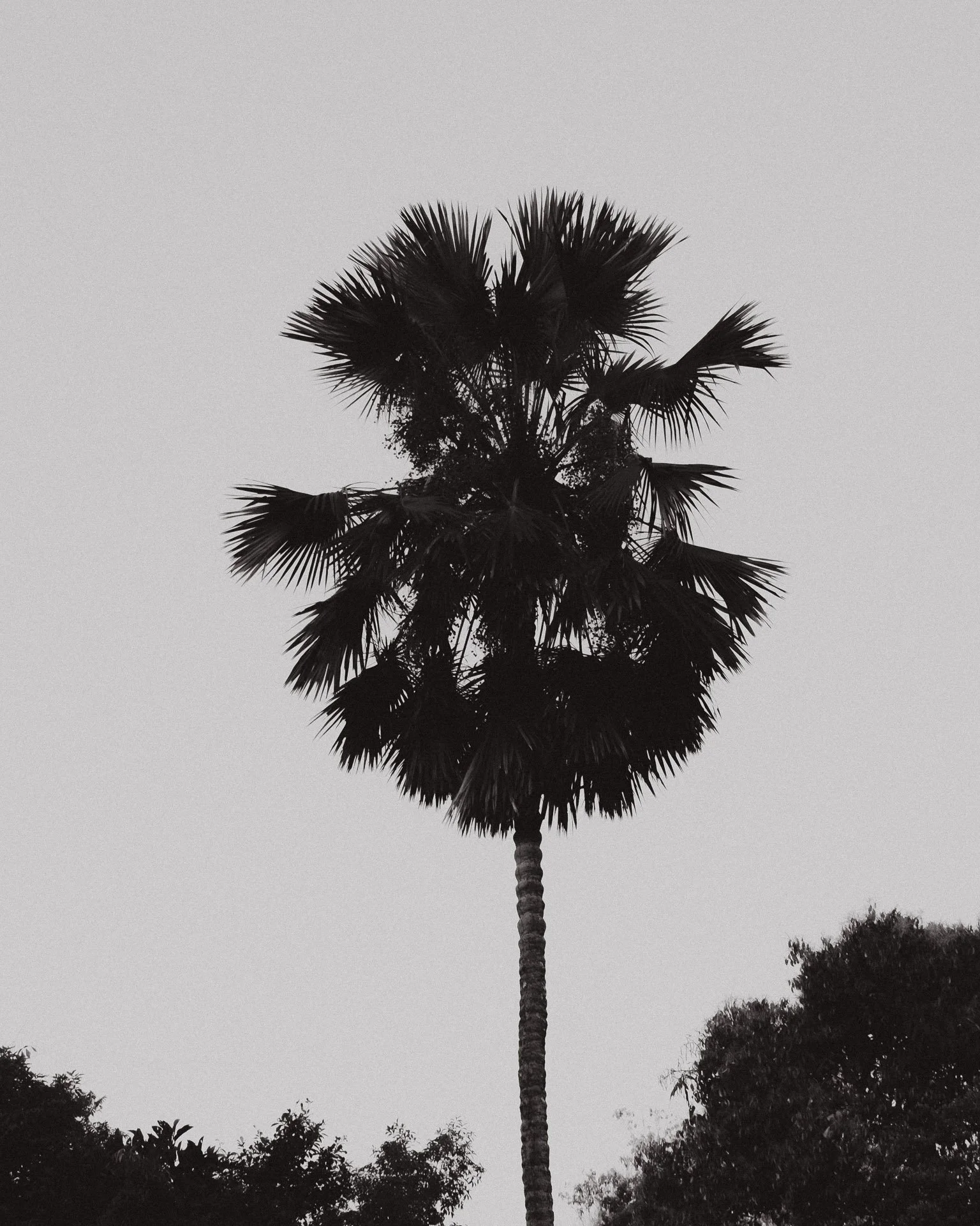 10022026-_DSF6301.jpg