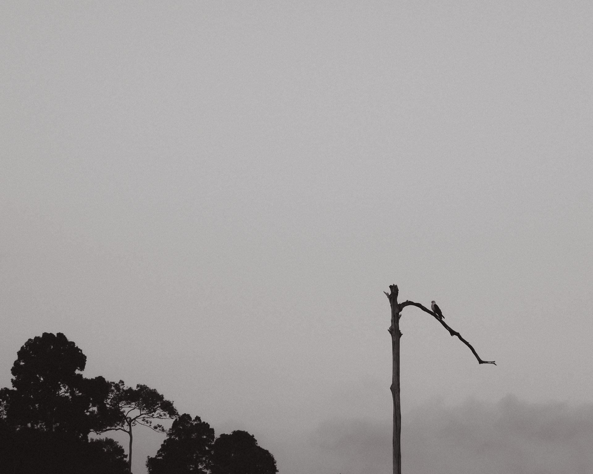 10022026-_DSF6281.jpg