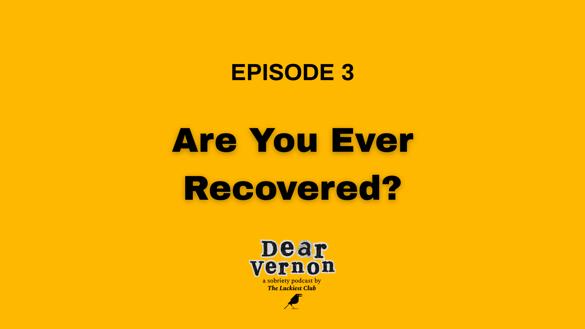 Episode 3: Are You Ever Recovered?