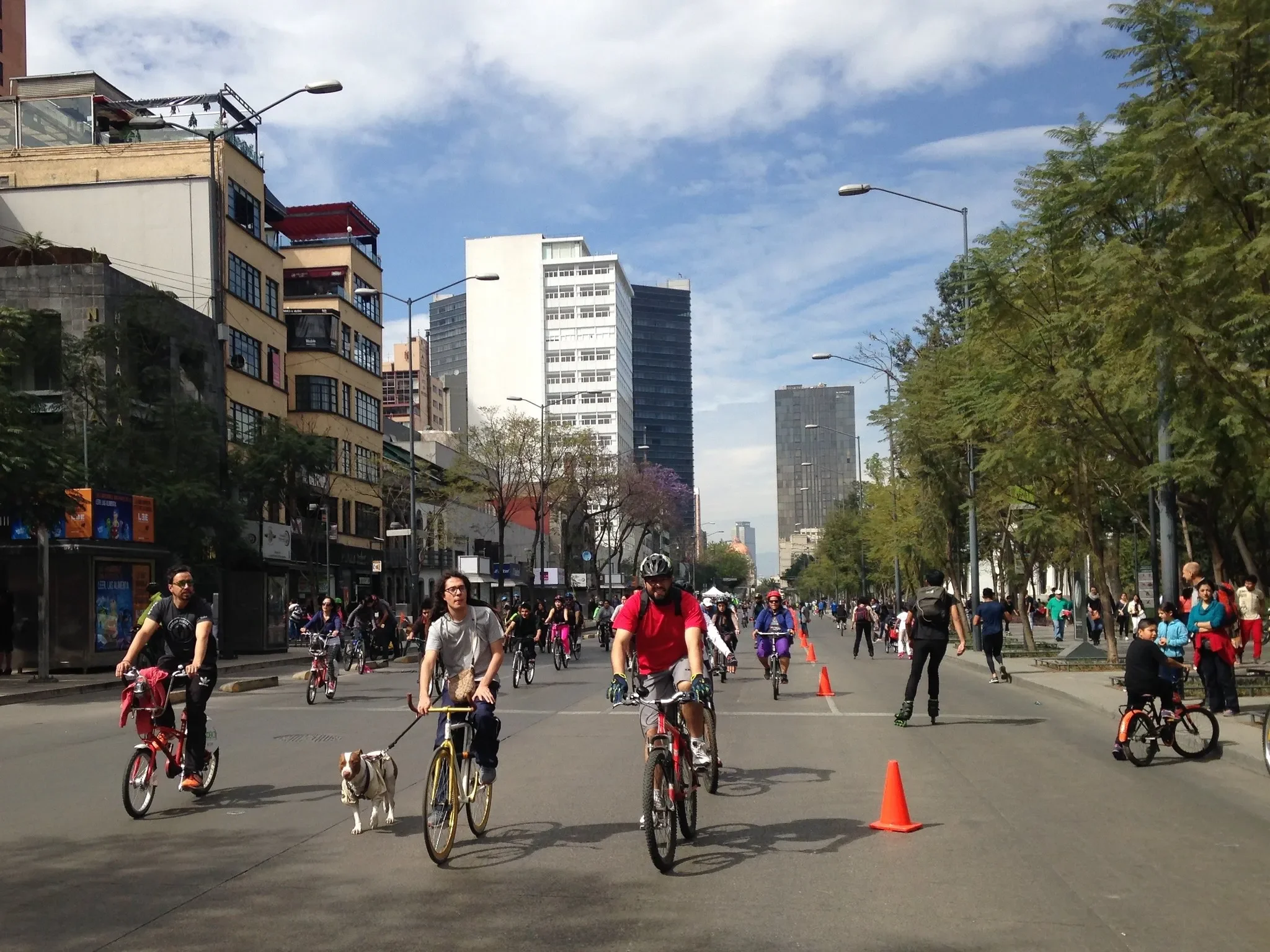  An update on Mexico City, an overlooked sustainable transportation innovator 