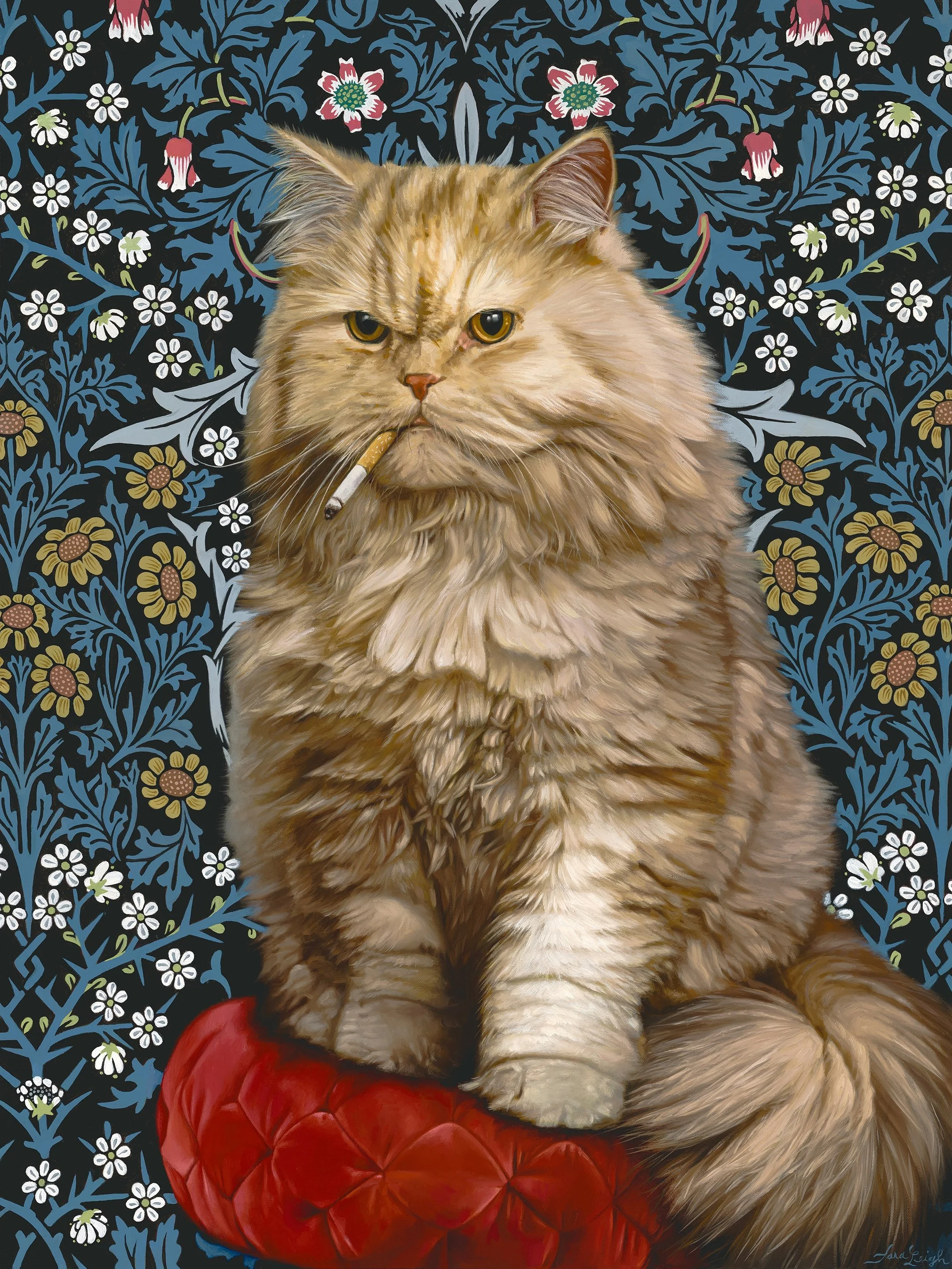 Death Cab For Kittie web comressed (1).jpg