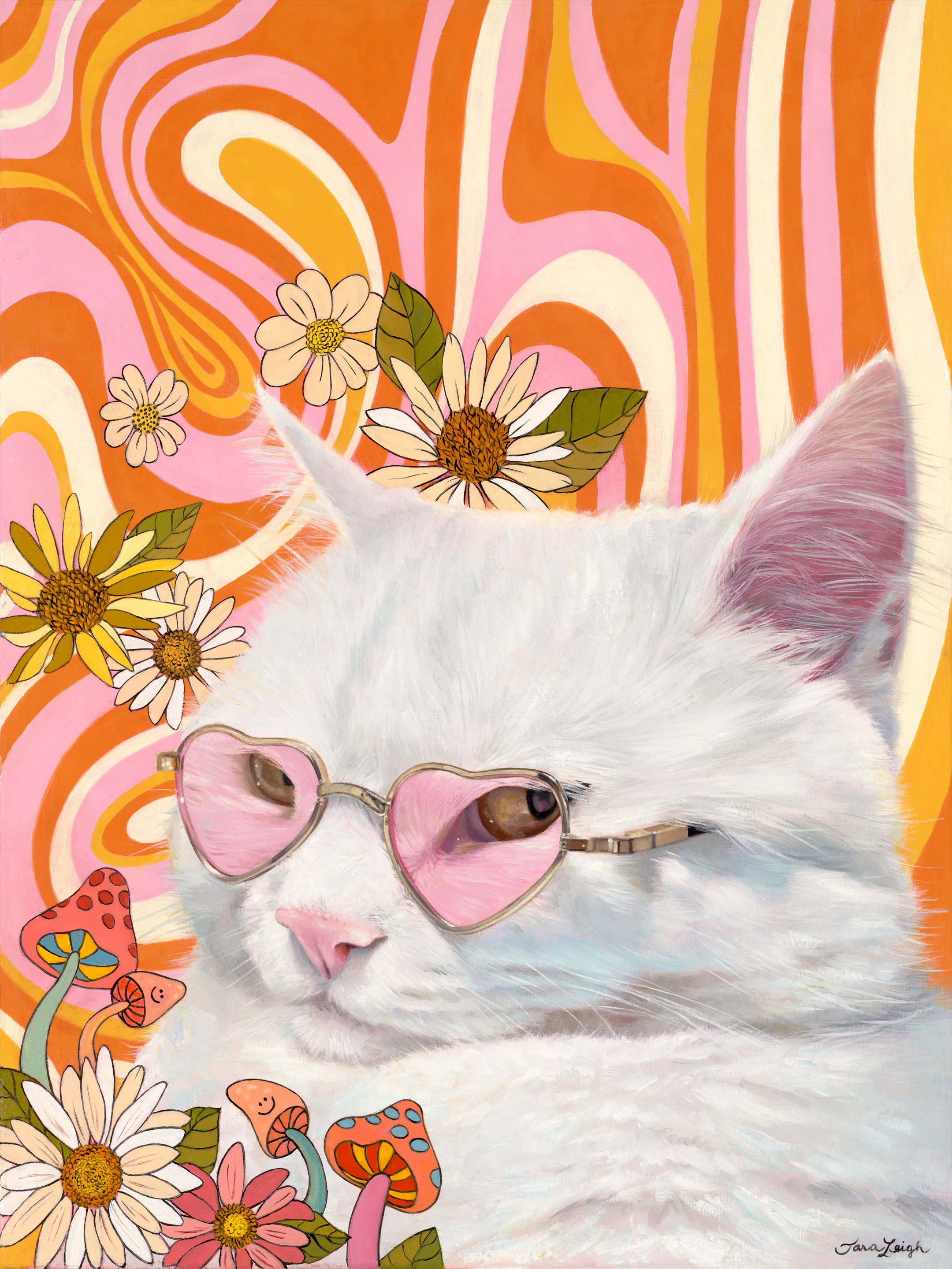 Cat Image.jpg