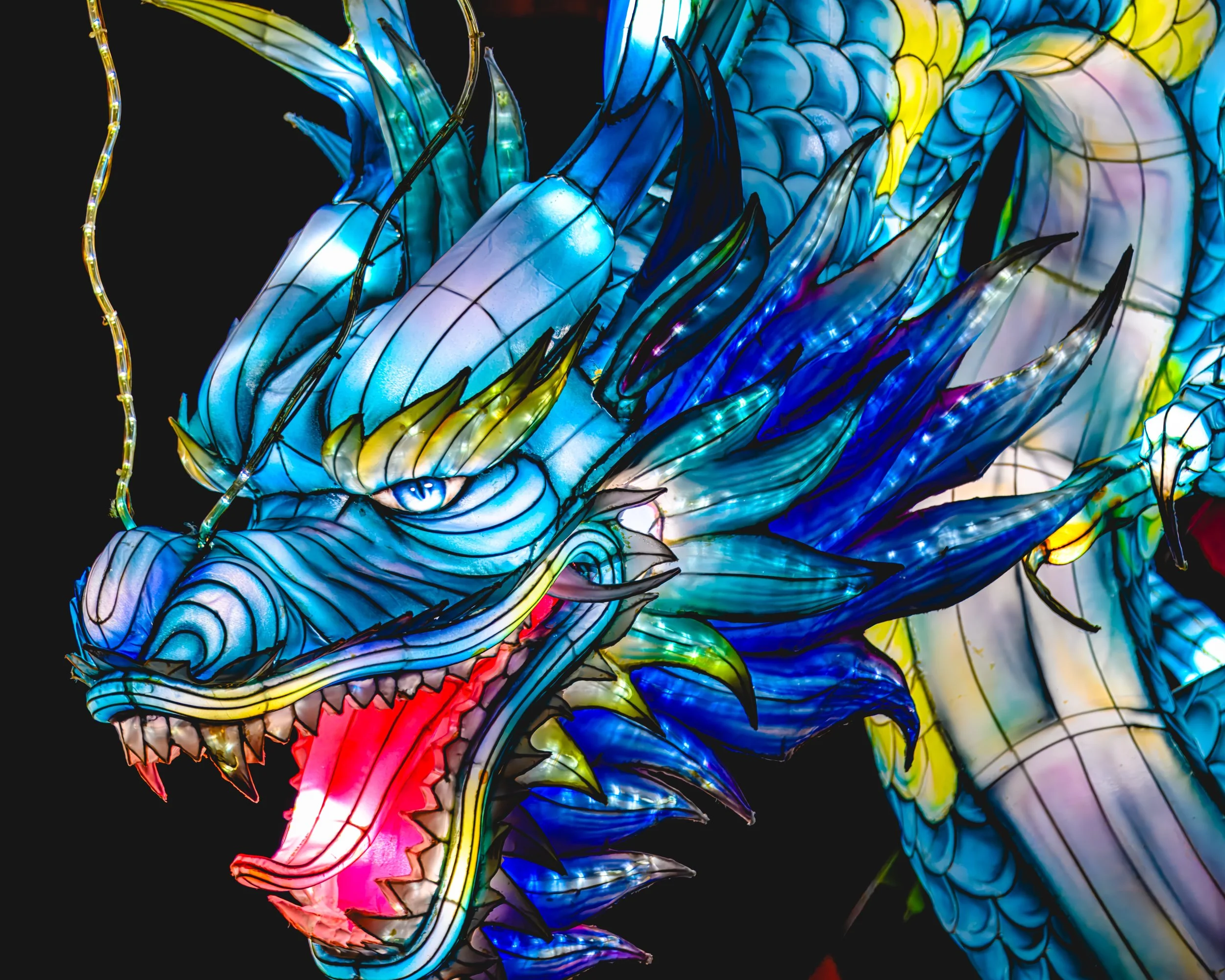 Winter Lantern Festival - Washington DC