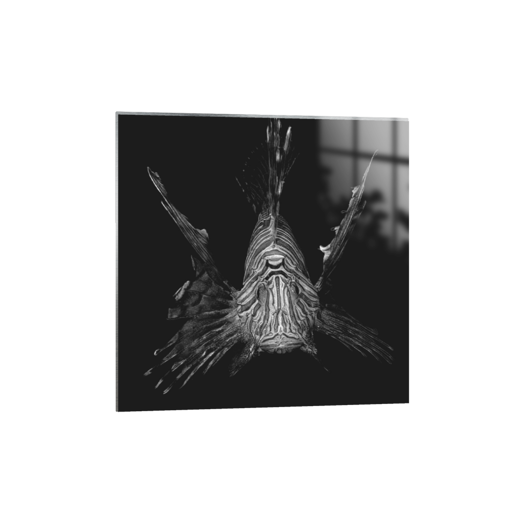 ptq_13_0_0_1281_8010_8010_0_false_ffffff_0_0_.png