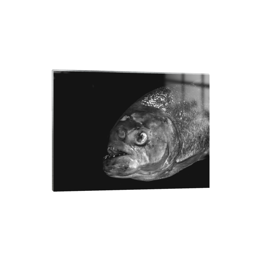 ptq_13_5_25_501_10001_7500_0_false_ffffff_0_0_.png