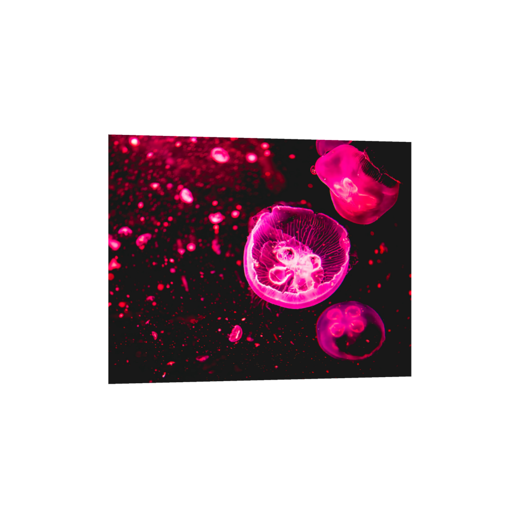 ptq_1_6_996_0_10040_8032_0_false_ffffff_0_0_.png