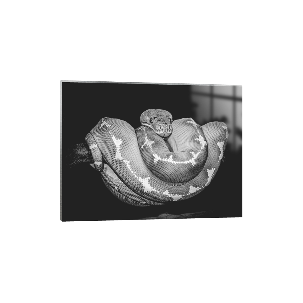 ptq_13_5_0_198_8007_6005_0_false_ffffff_0_0_.png