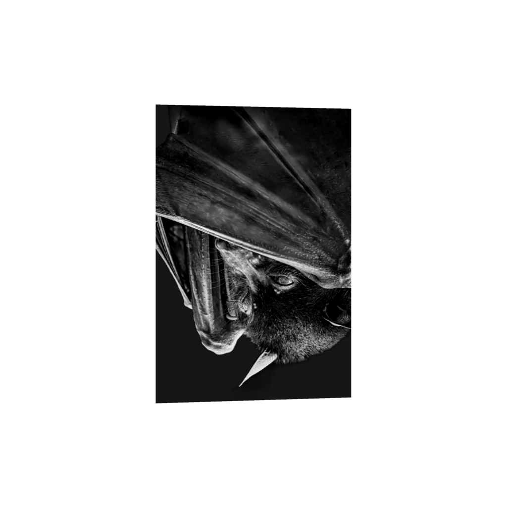 ptq_1_3_444_0_4442_6664_0_false_ffffff_0_0_.png