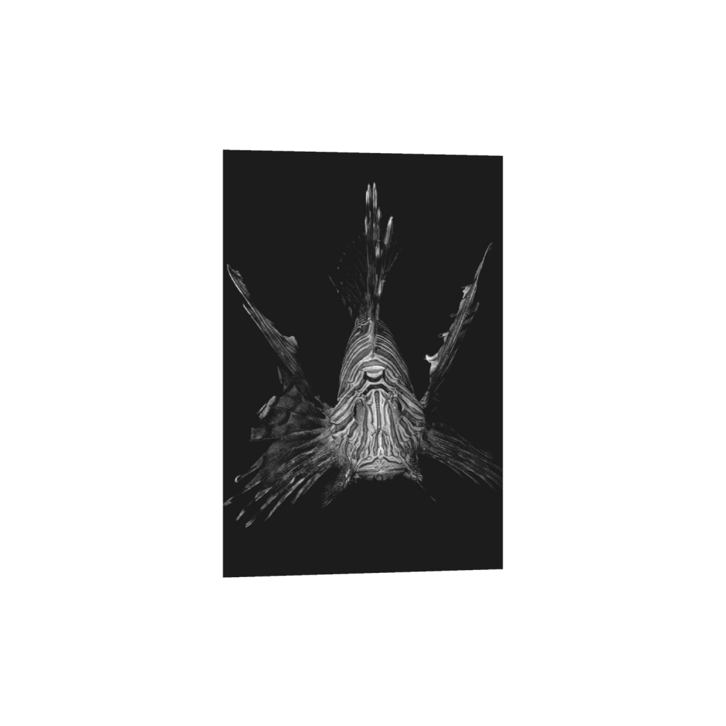 ptq_1_3_668_0_6672_10009_0_false_ffffff_0_0_.png