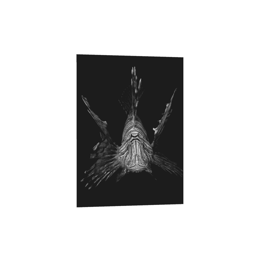 ptq_1_7_430_0_7149_10009_0_false_ffffff_0_0_.png