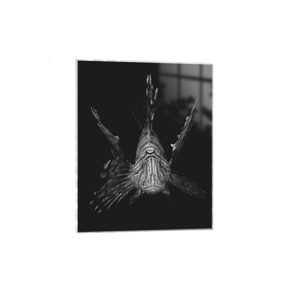 ptq_17_6_1_0_8007_10009_0_false_ffffff_0_0_.png