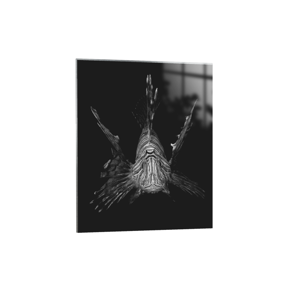 ptq_13_6_1_0_8007_10009_0_false_ffffff_0_0_.png